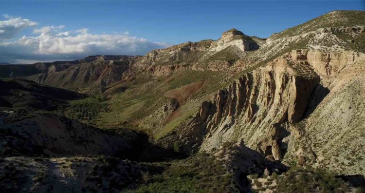discordancia-gorafa