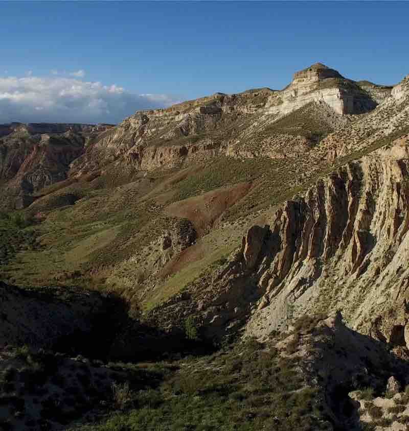 discordancia-gorafa