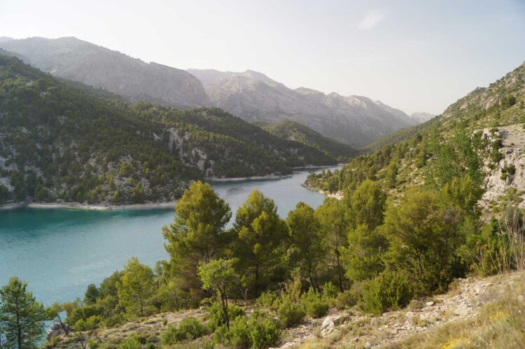 17 Pantano Del Protillo 2