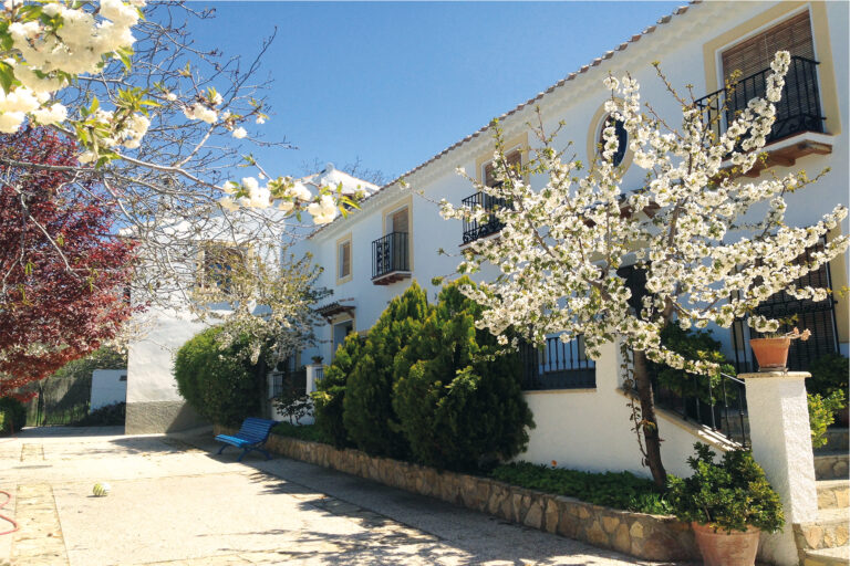 molino morillas