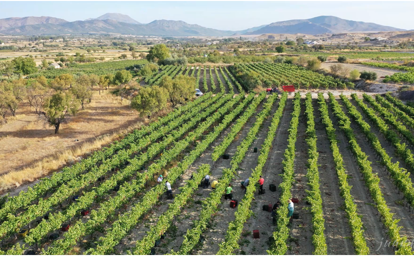 Bodegas Beatriz Romero Benedicto