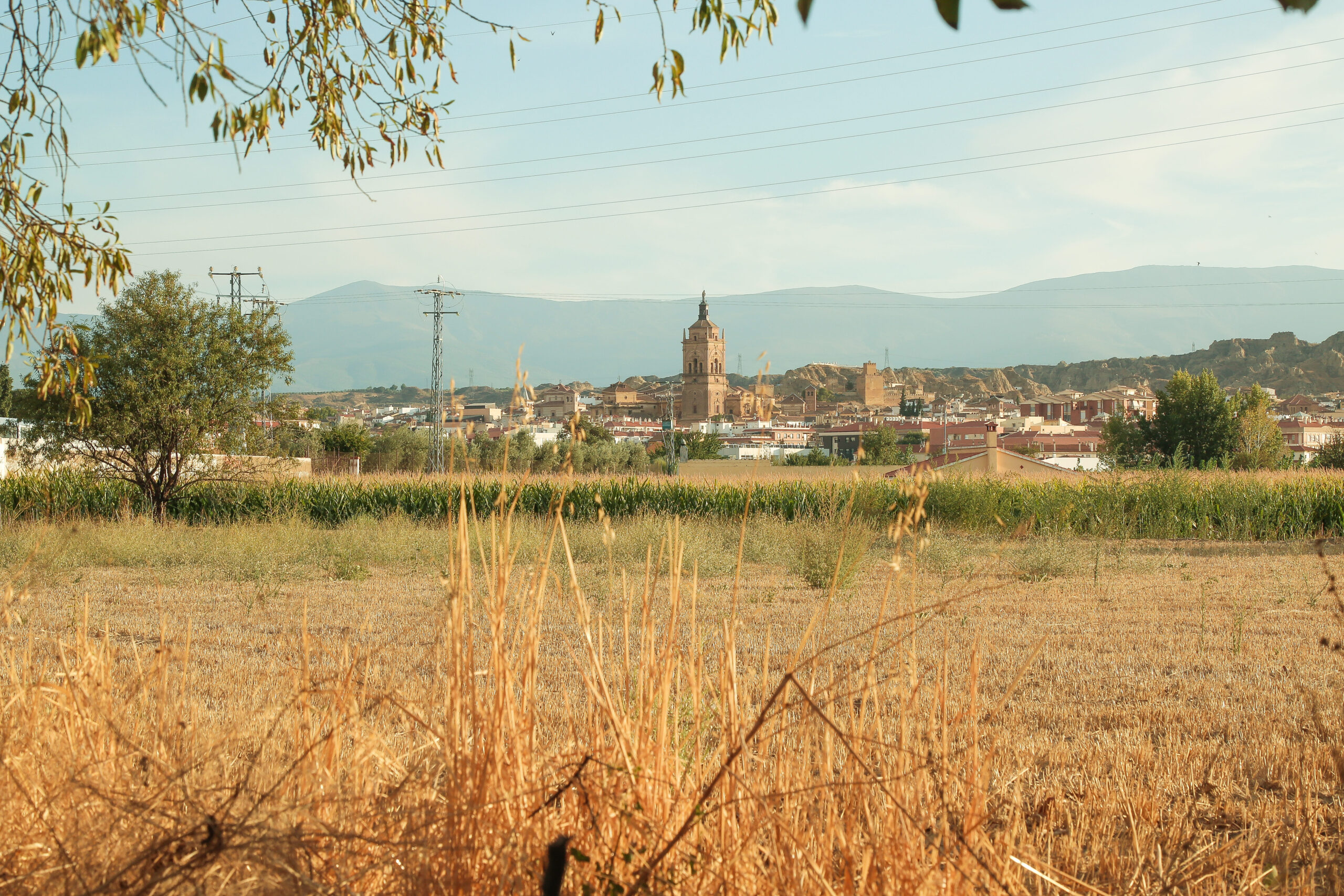 Cogollos de Guadix