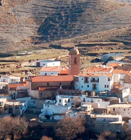 Ferreira