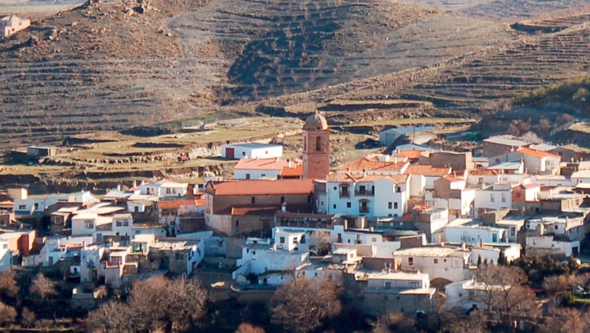 Ferreira