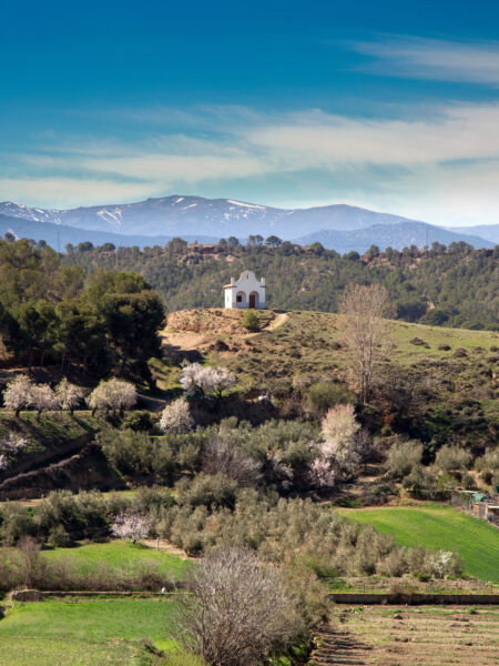 Alcudia de Guadix