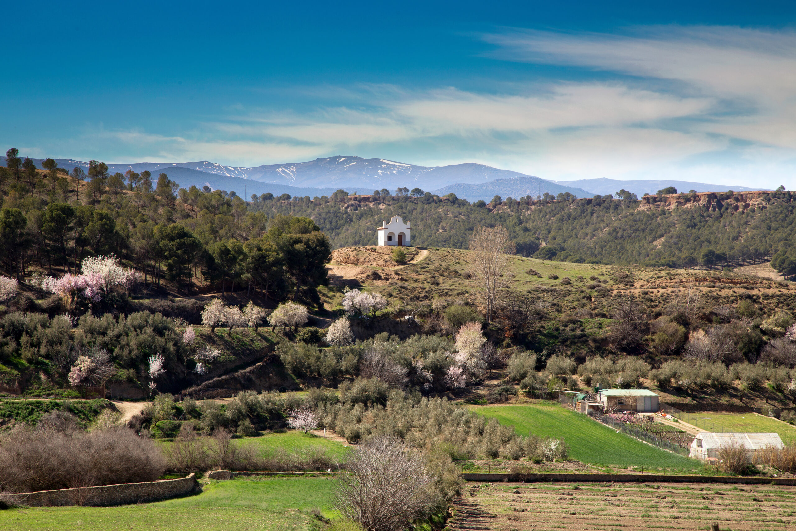 Alcudia de Guadix