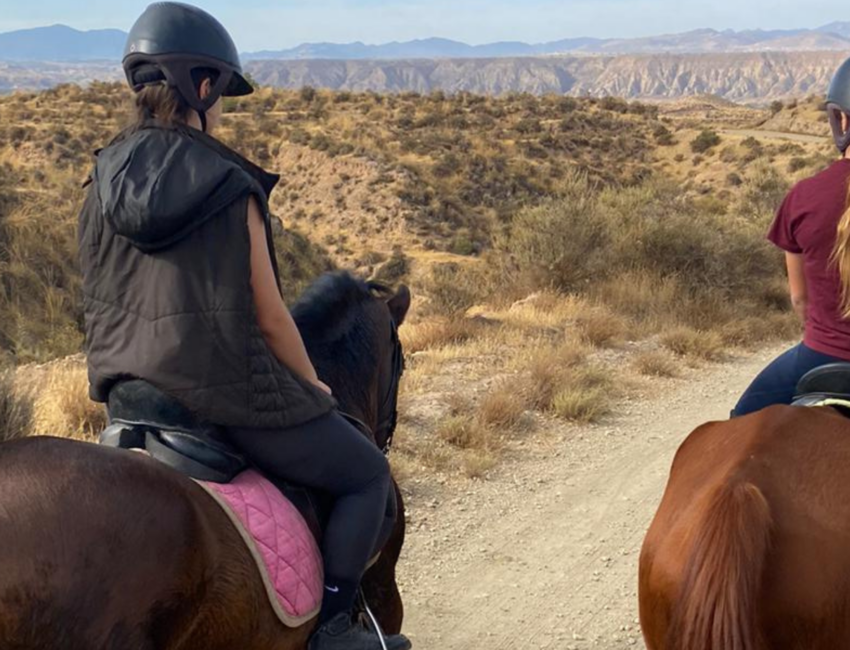 Goyo Garrido Adventures Rutas A Caballo Comercial Y Gestión