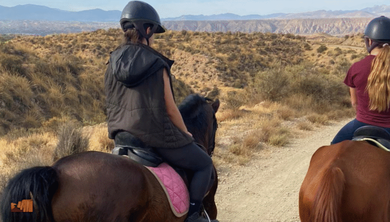 Goyo Garrido Adventures Rutas A Caballo Comercial Y Gestión