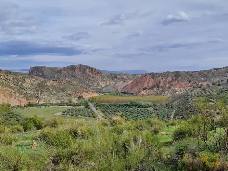 La Cerrada De La Lava