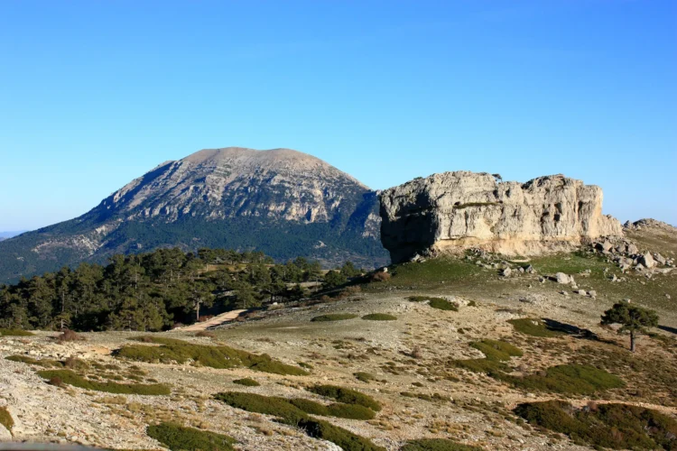 Mirador Peñon Del Toro1