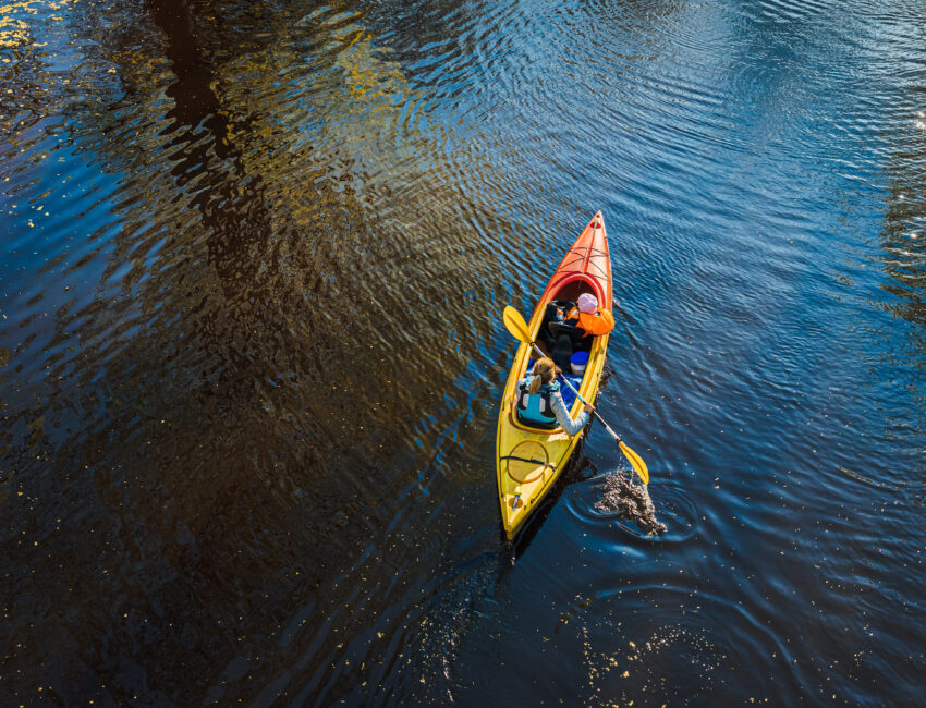 Kayak