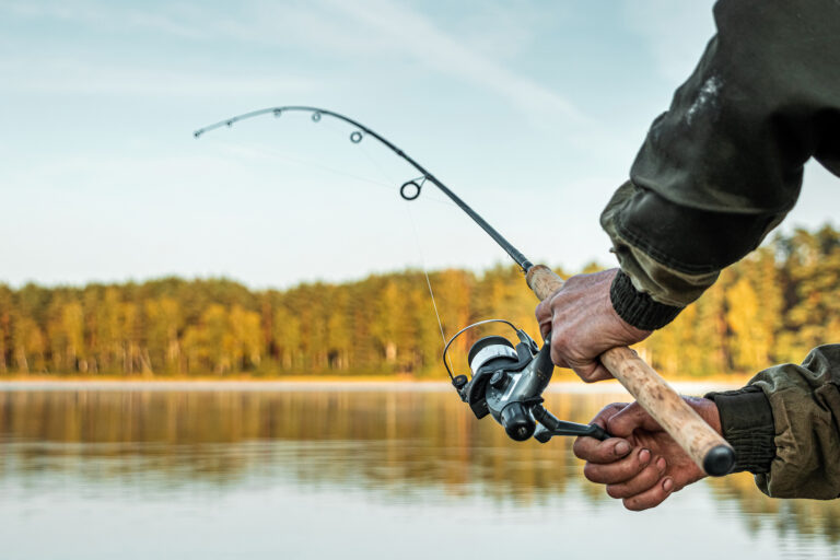 Pesca
