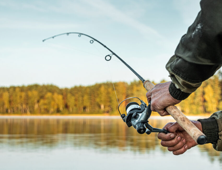 Pesca