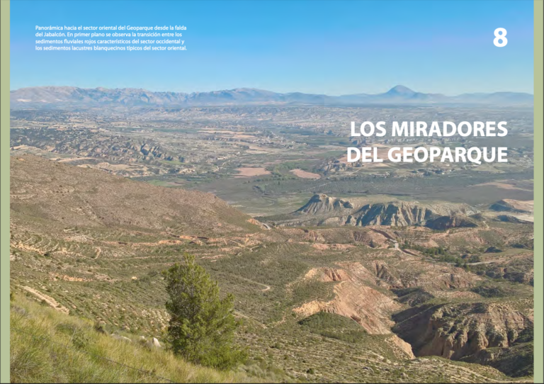 Captura De Pantalla 2026 03 16 A Las 11.37.47