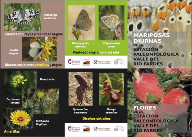 Captura De Pantalla 2026 03 16 A Las 11.40.50