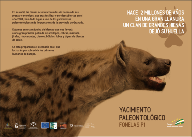 Captura De Pantalla 2026 03 16 A Las 12.12.32