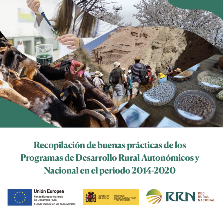 Captura De Pantalla 2026 03 16 A Las 11.54.20