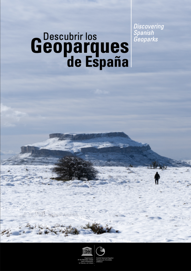 Captura De Pantalla 2026 03 16 A Las 12.10.57