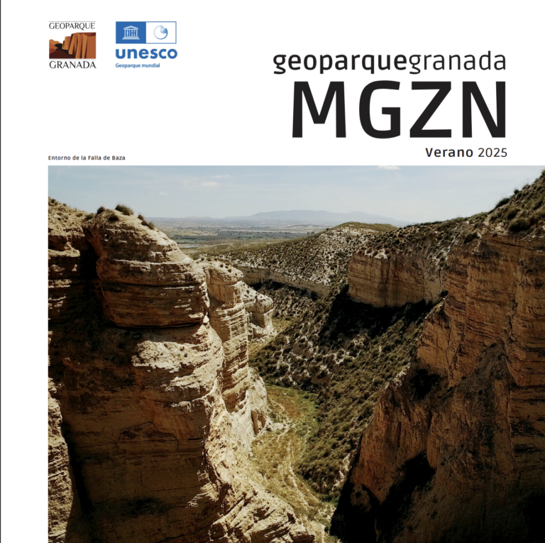 Captura De Pantalla 2026 03 16 A Las 12.23.15