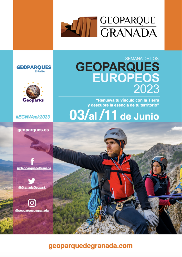 Captura De Pantalla 2026 03 16 A Las 11.35.28