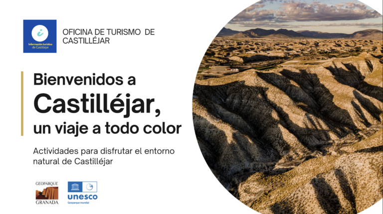 Captura De Pantalla 2026 03 16 A Las 11.41.10