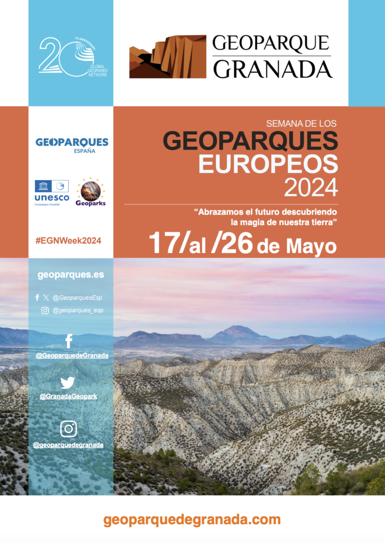 Captura De Pantalla 2026 03 16 A Las 11.46.15