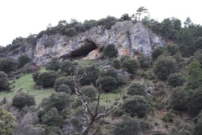 Ruta Loma De Gandia