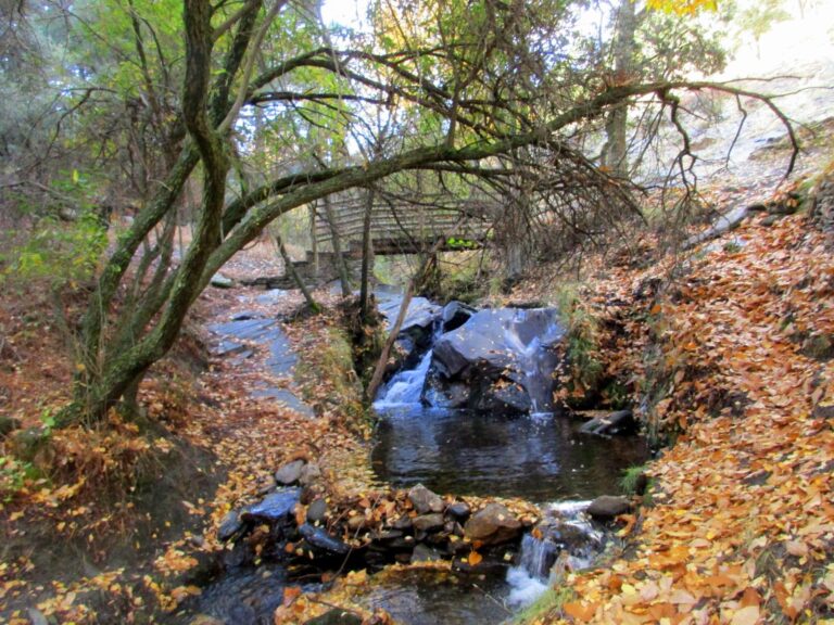 Ruta Sendero Al Área Del Río Barro