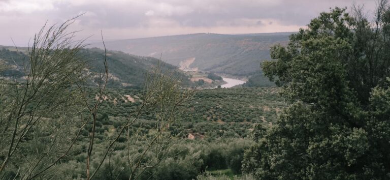 Ruta Llanos De Diezma