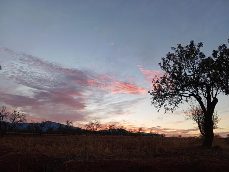 Ruta Sendero De Las Viñas
