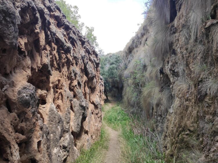 Acequia Toril2