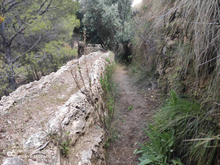 Acequia Toril3