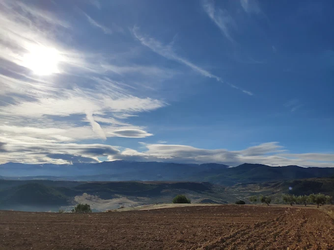 Llanos De Diezma