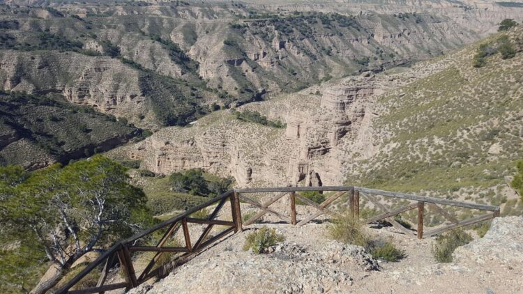 Mirador Monte Pajarillo