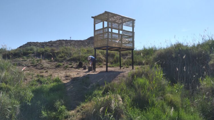 Observatorio De Aves