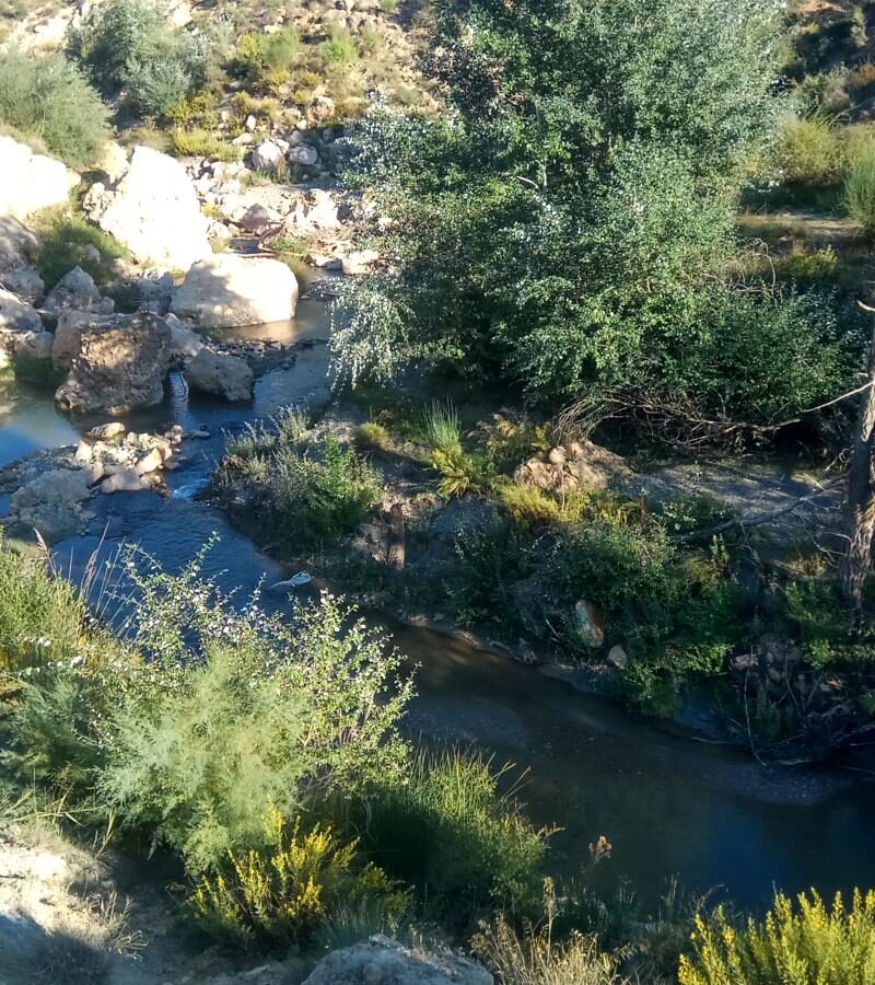 Rio Fardes