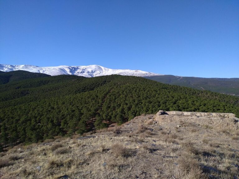 Ruta Ruta Del Castillo De La Reina