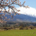 Ruta Policar