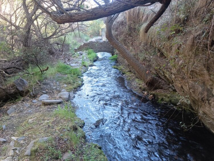 Acequias De Históricas De Jerez