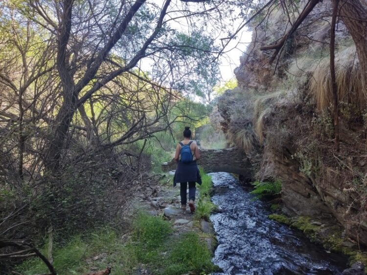 Acequias De Históricas De Jerez1