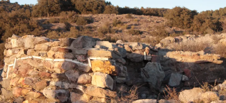 Captura De Pantalla 2026 03 10 135134