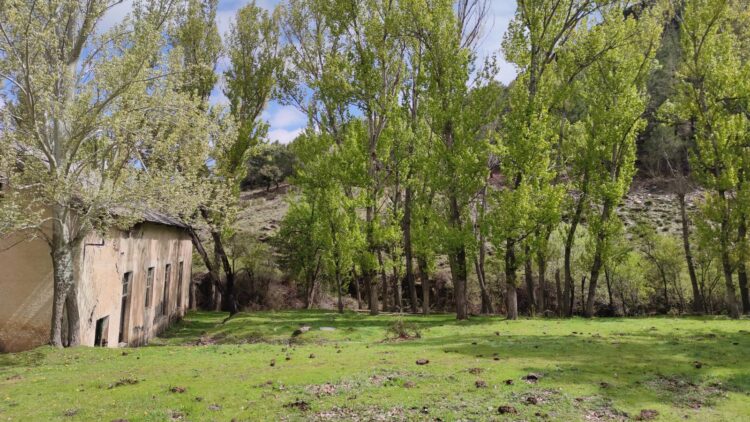 Central Hidroeléctrica Del Sabinar2