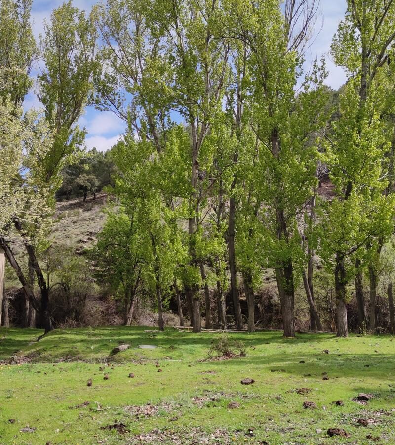 Central Hidroeléctrica Del Sabinar2
