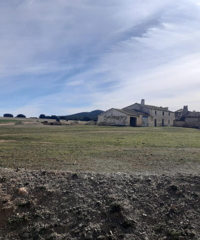 Cortijo Madroñal2