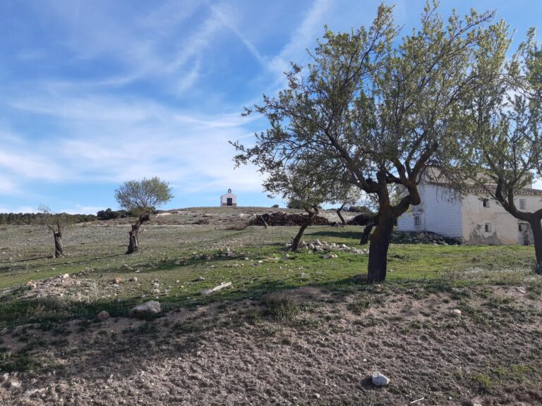 Sáuco: Ermita de Fátima