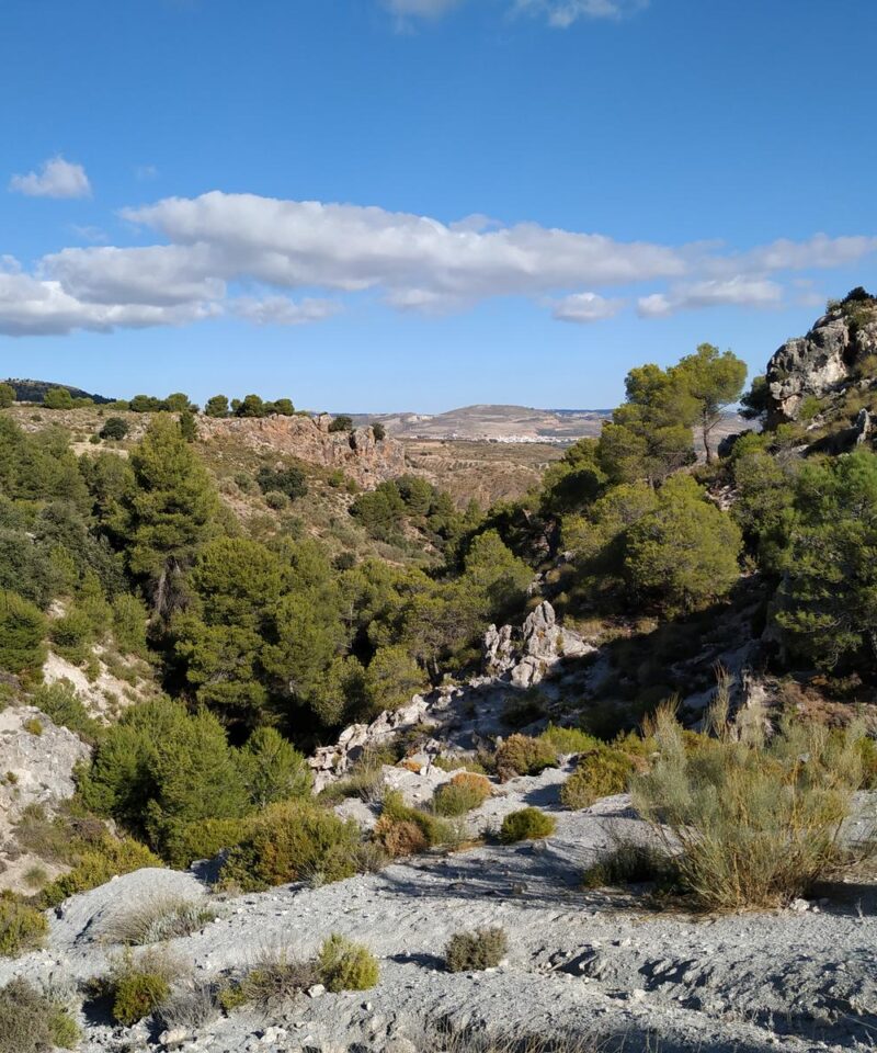 Haza De La Cabaña