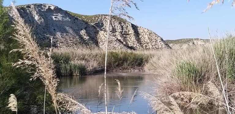 Balsa arroyo del Saladar