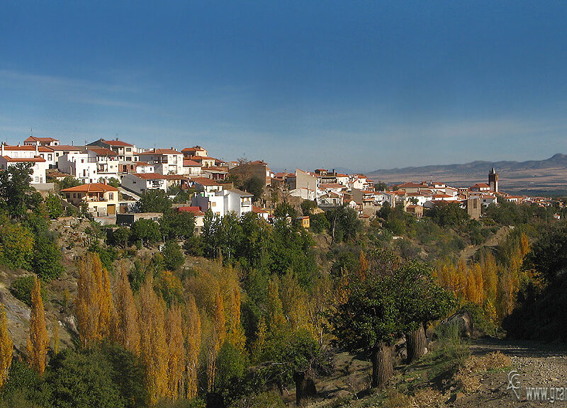 Jerez Del Marquesado4