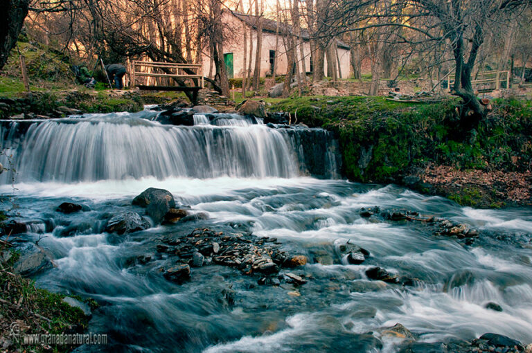 Área Recreativa la Tizná