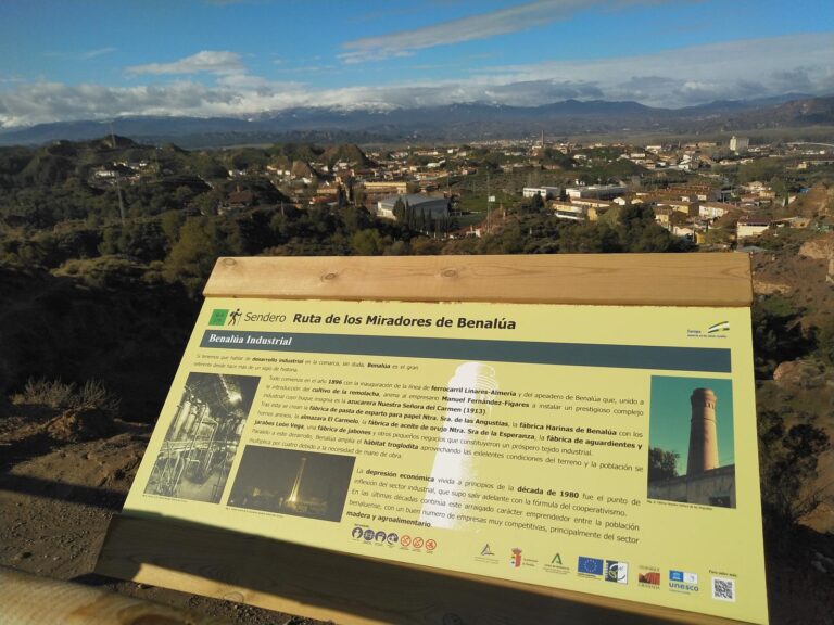 Mirador Benalúa